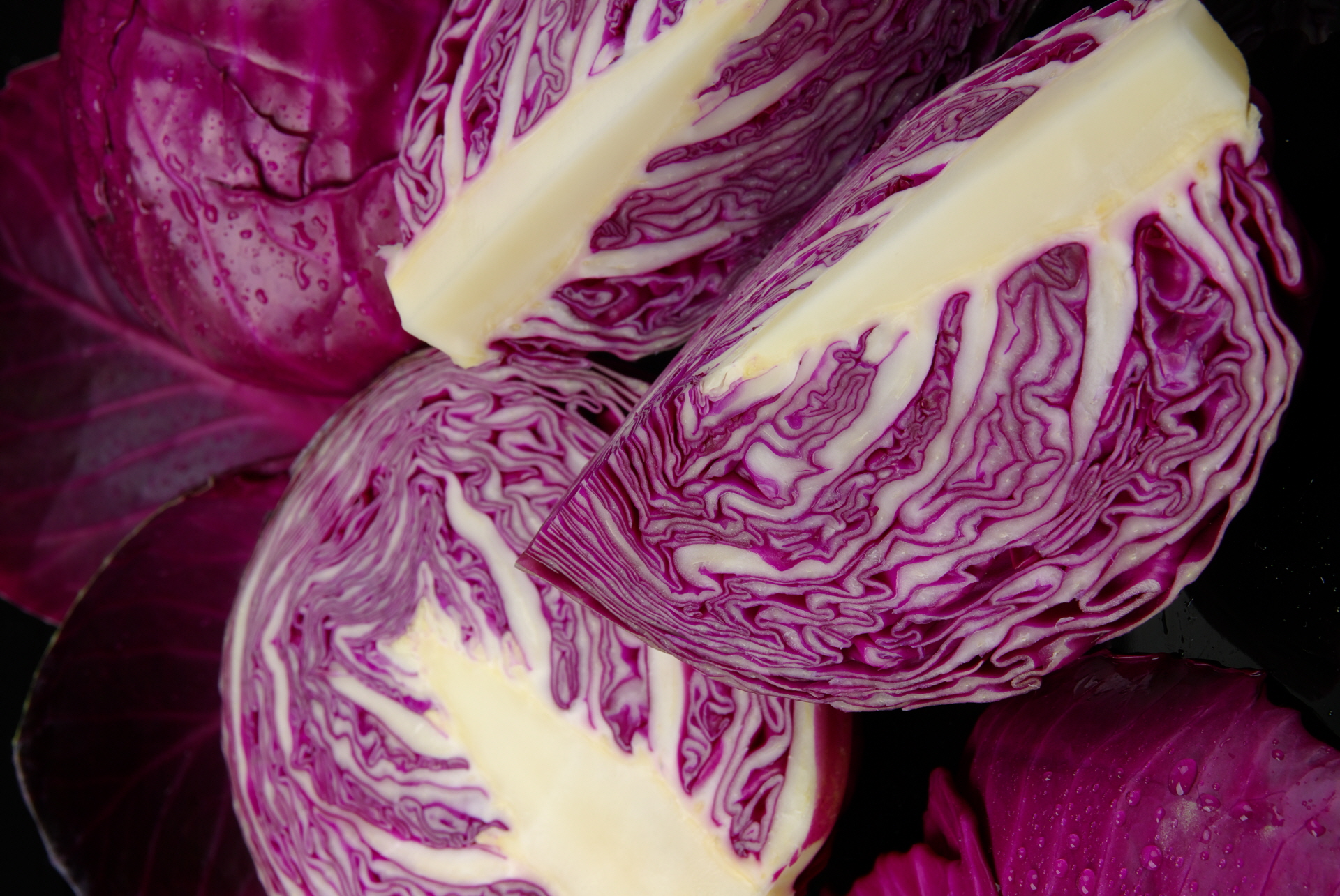 top_banner